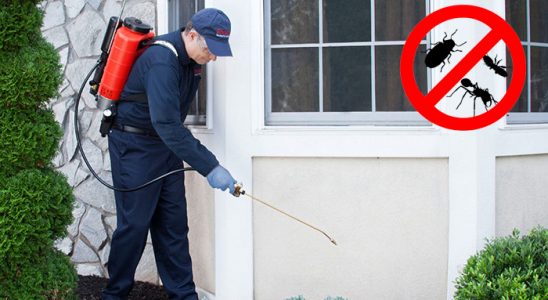 Zeytinburnu Dezenfeksiyon böcek ilaçlama ve haşere kontrolü — ilaclama-tr.com